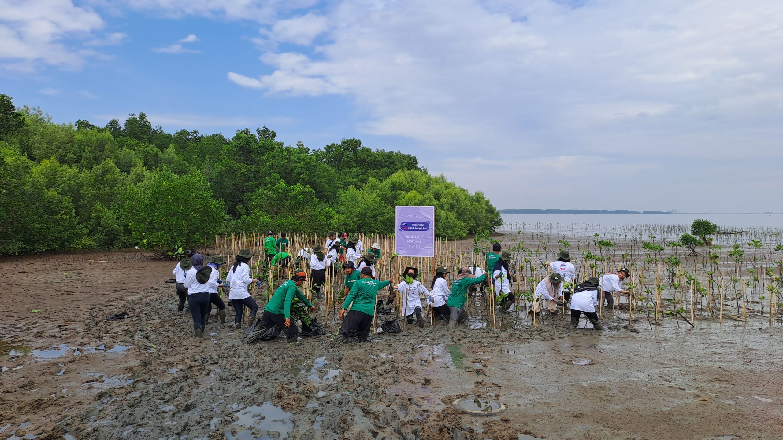 Penanaman 1.000 pohon Mangrove oleh Orfilame di Pesisir Untia, Kecamatan Bringkanaya, Kota Makassar, Sulawesi Selatan 