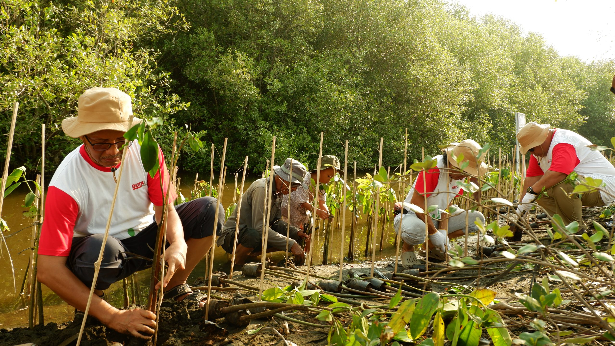 Proses penanaman oleh DUTATRANS Group dan Mitra Petani 