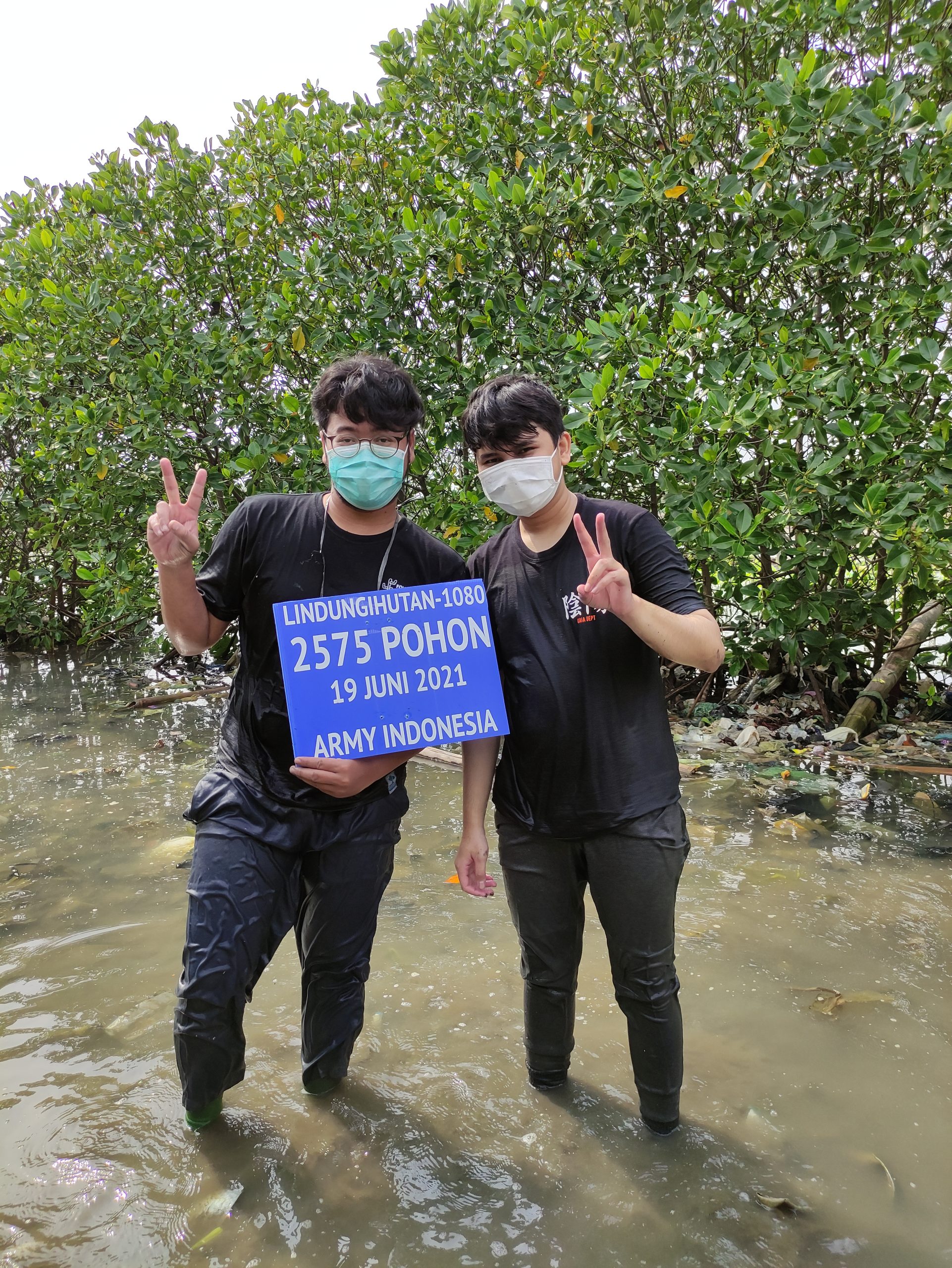 Perwakilan K-Pop Fans dari Semarang Ikut Menanam Pohon Mangrove bersama Petani Setempat dan LindungiHutan