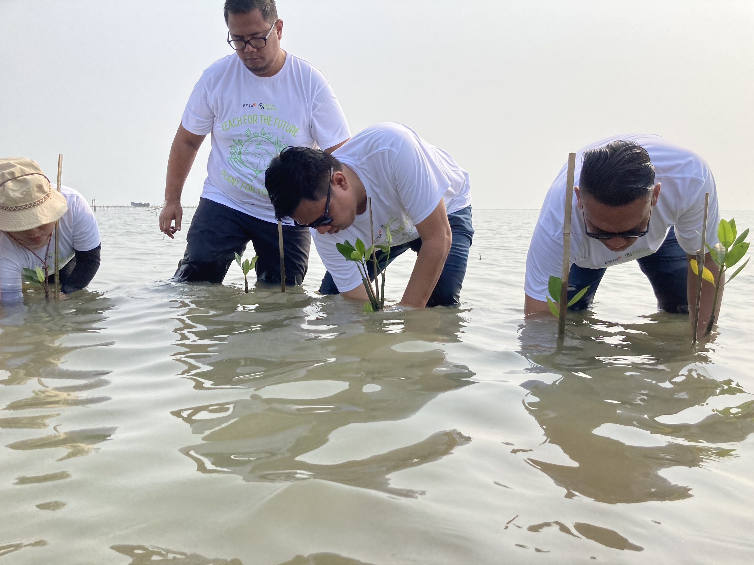 Penanaman ribuan mangrove oleh PT Esta Dana Ventura di Indramayu.