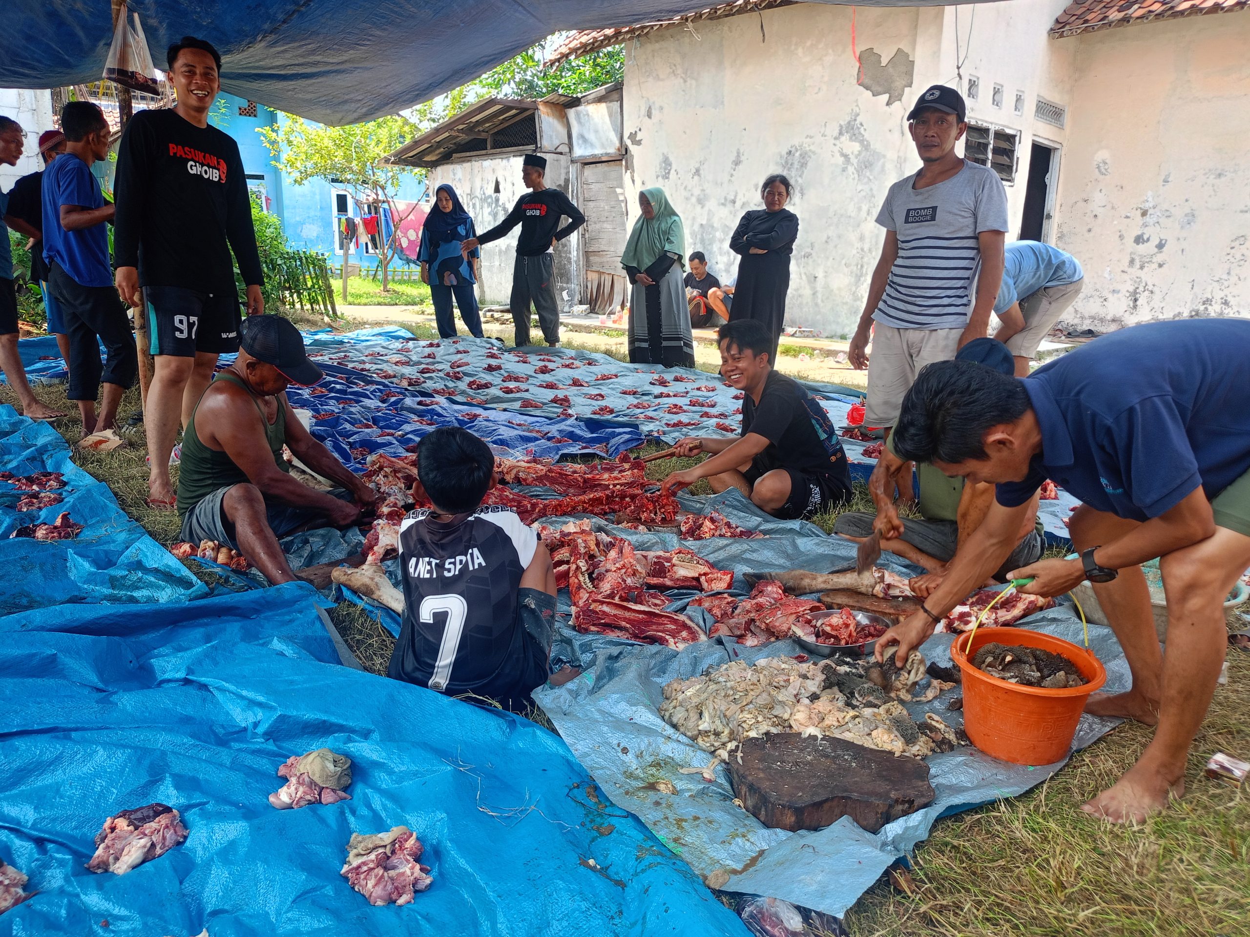 Proses Pemotongan Daging Kurban 