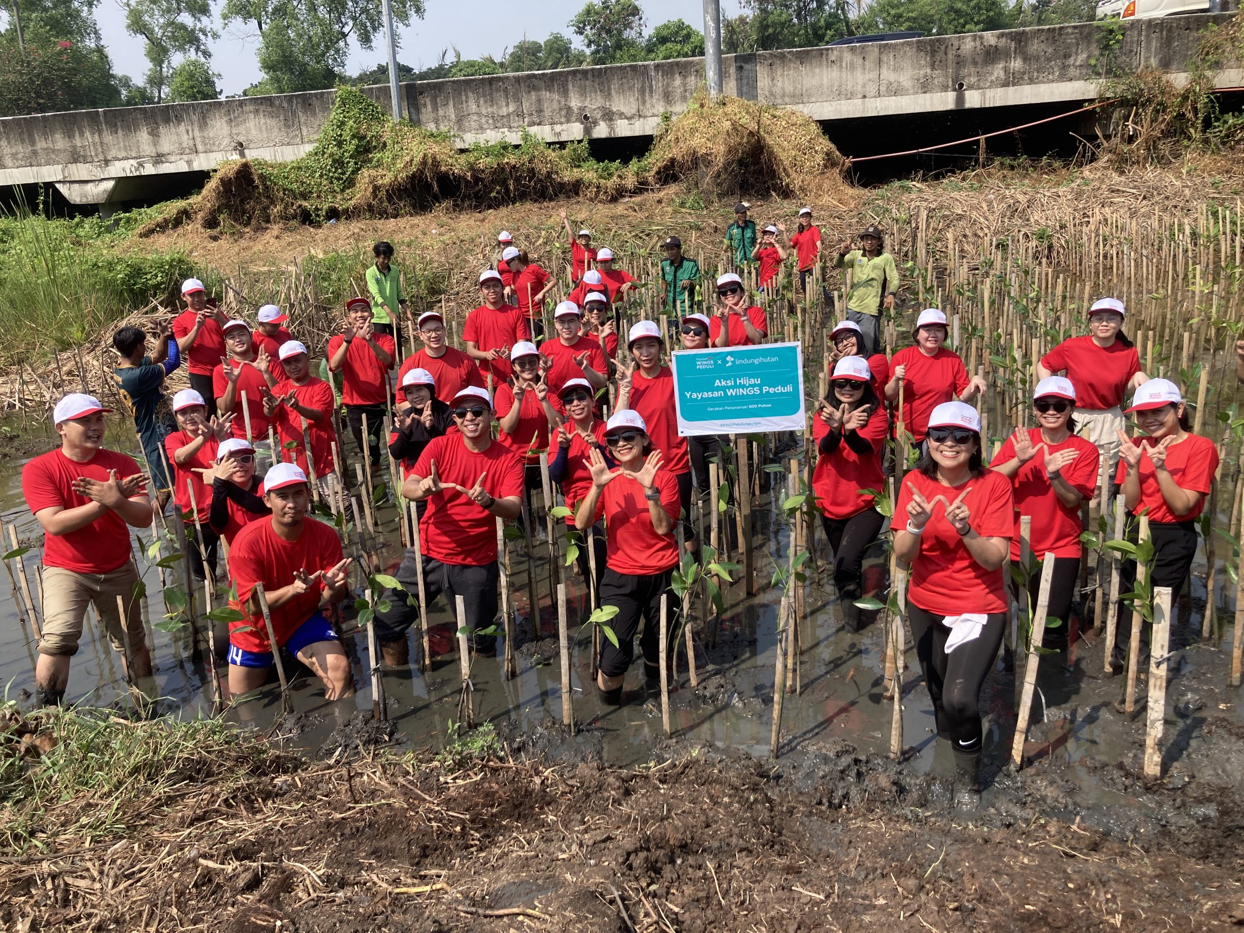 Penanaman mangrove oleh karyawan Wings Group.