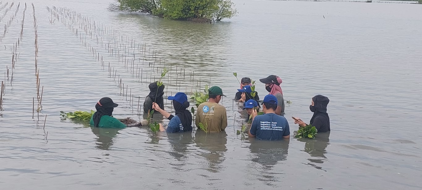 Kegiatan penanaman mangrove PT PFI Mega Life Insurance.