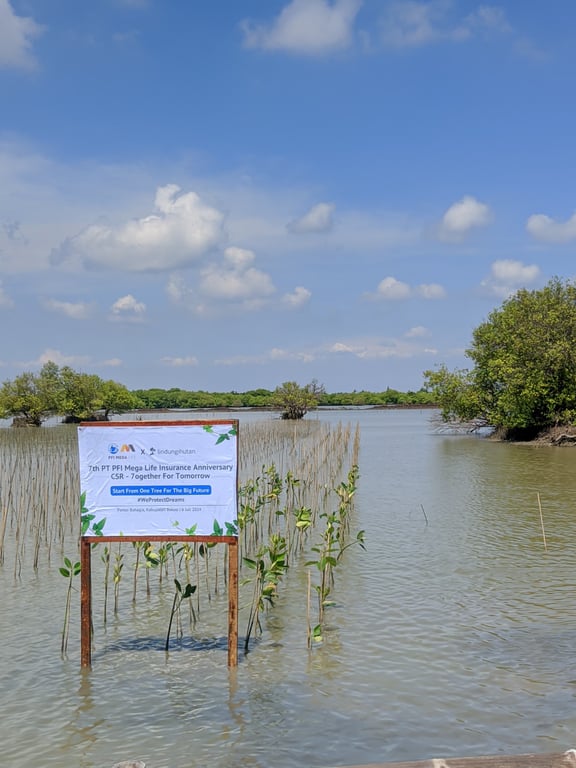 Penananam mangrove oleh tim PT PFI Mega Life Insurance di Bekasi.