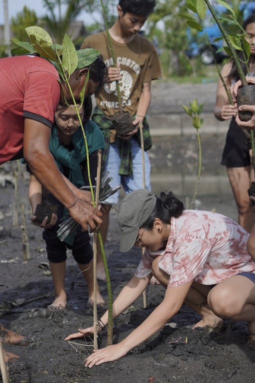 Alicia menanam mangrove di Teluk Benoa, Bali.