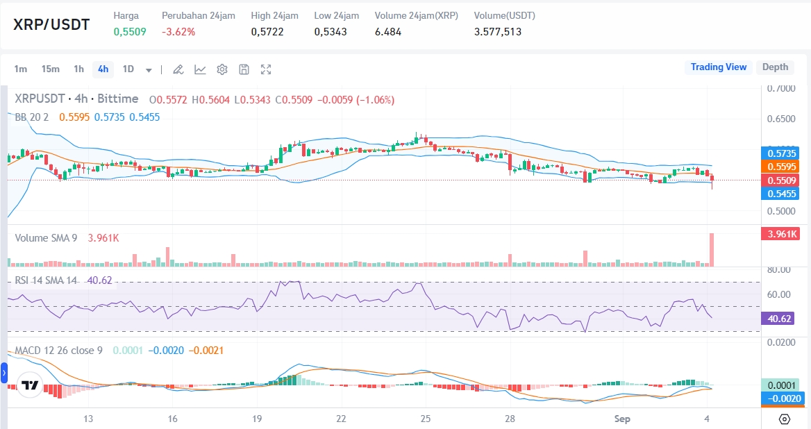 Sumber: Market Bittime