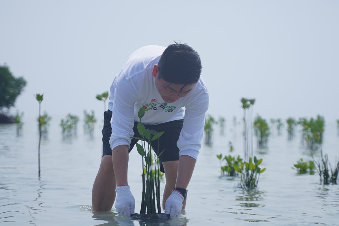 Penanaman bibit mangrove oleh J&T Express di Pulau Pari (30/8).